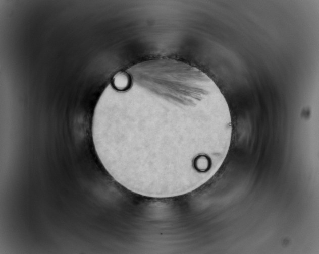 X0000103900236200810311417