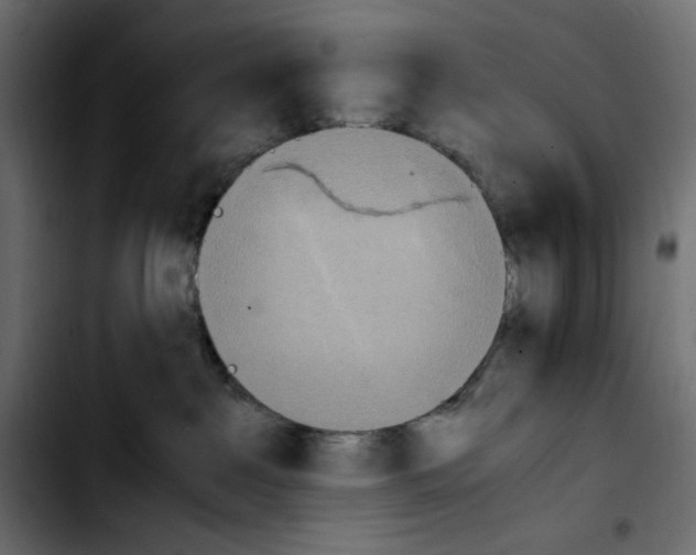 X0000103900237200810311417