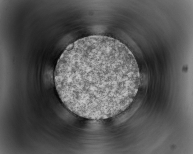 X0000103900238200810311417