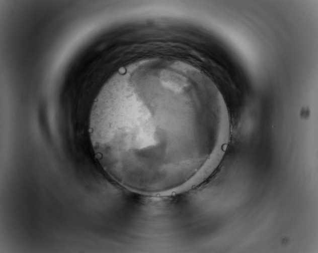 X0000103900239200810311417