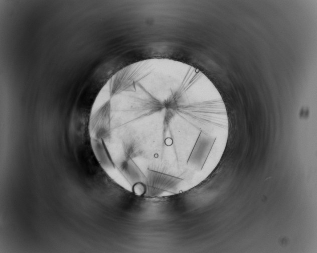 X0000103900240200810311417