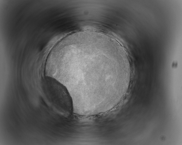 X0000103900241200810311416