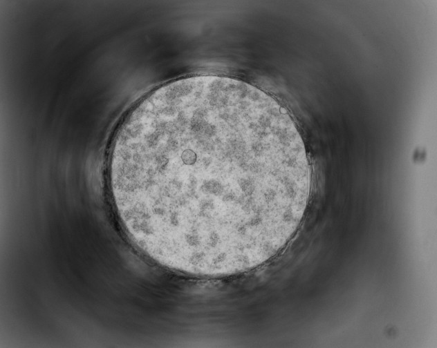 X0000103900243200810311416