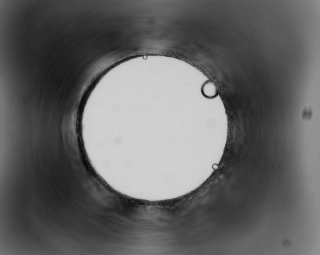 X0000103900244200810311416