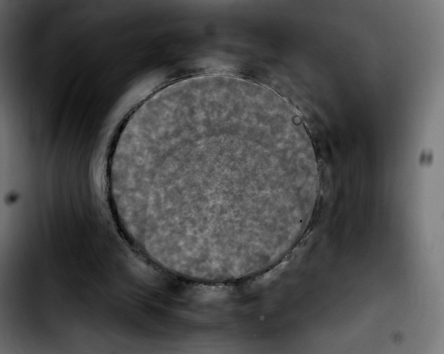 X0000103900245200810311416