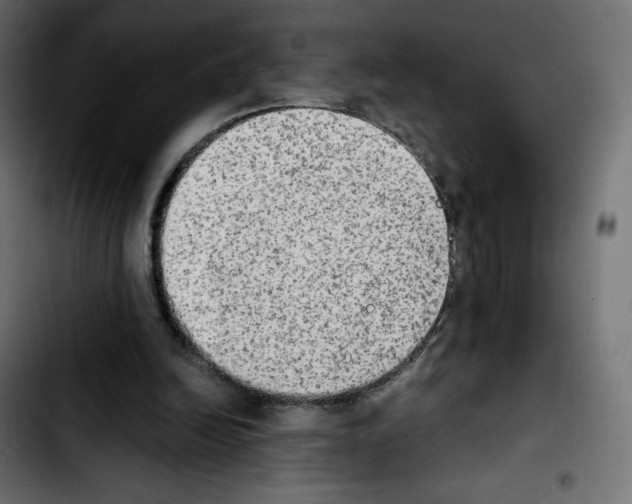 X0000103900246200810311416