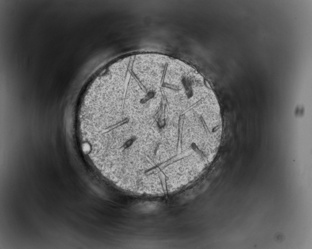 X0000103900247200810311416