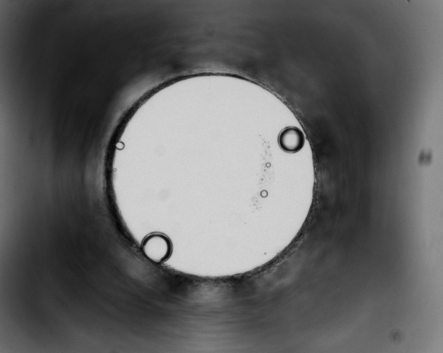 X0000103900248200810311416