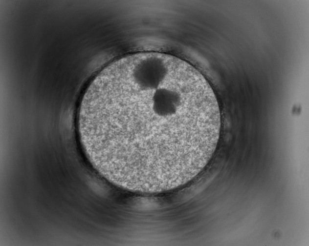 X0000103900250200810311416