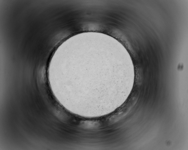 X0000103900251200810311416