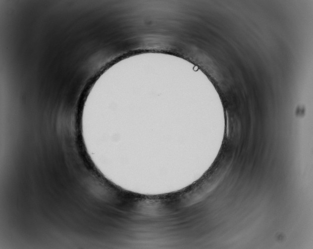 X0000103900252200810311416