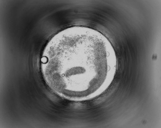 X0000103900253200810311416