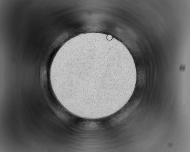 X0000103900254200810311416