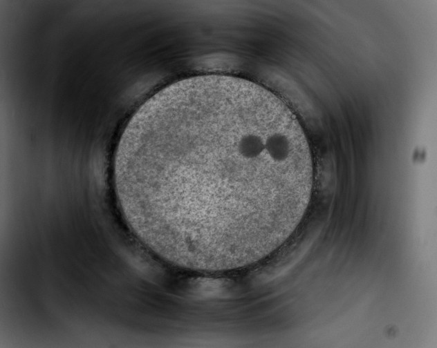 X0000103900255200810311416