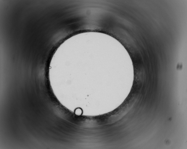 X0000103900256200810311416