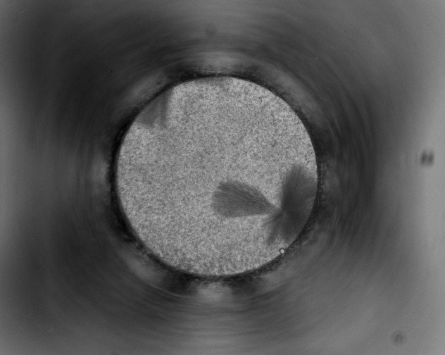 X0000103900258200810311416