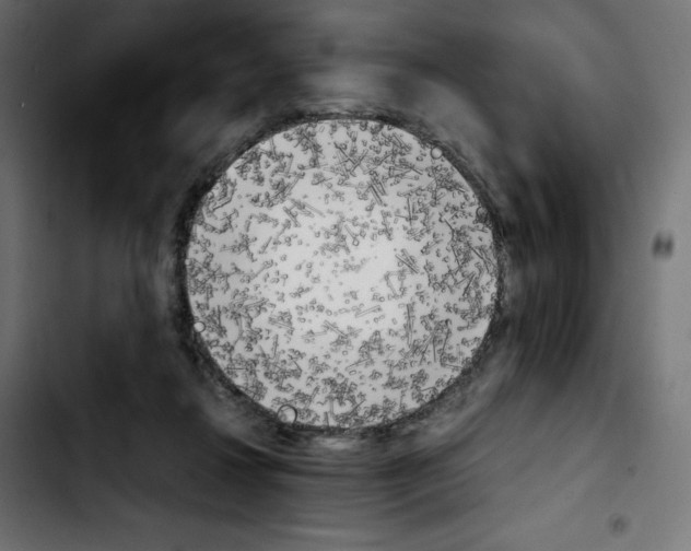 X0000103900260200810311416