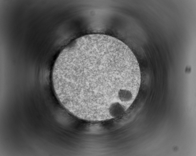 X0000103900262200810311416