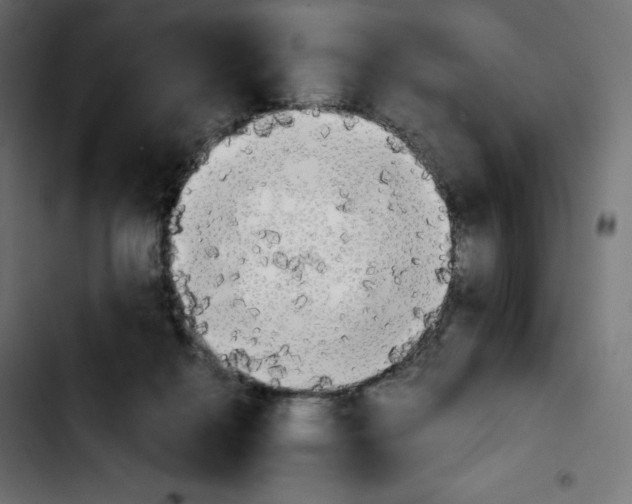 X0000103900264200810311416