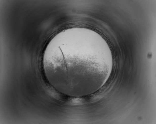 X0000103900268200810311416