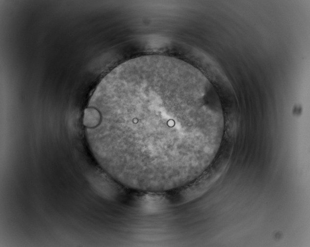 X0000103900270200810311416