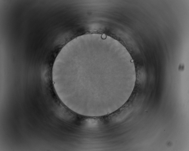 X0000103900272200810311416