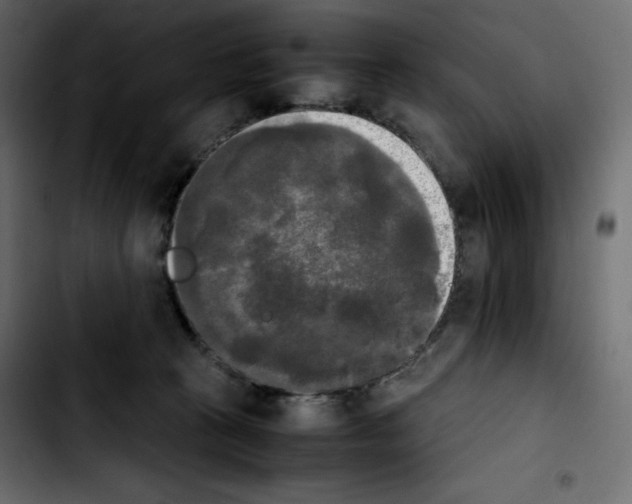 X0000103900273200810311416