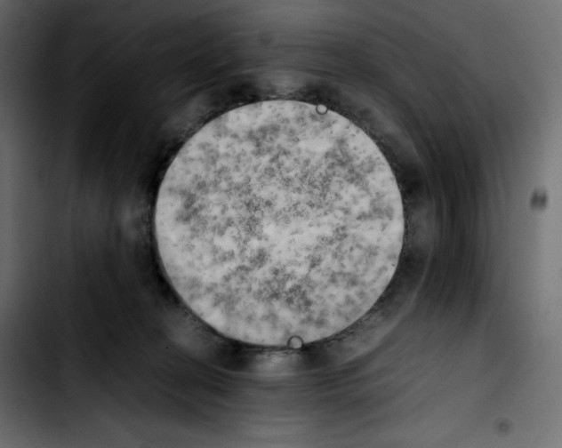 X0000103900274200810311416