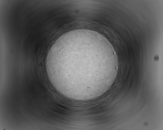 X0000103900276200810311416