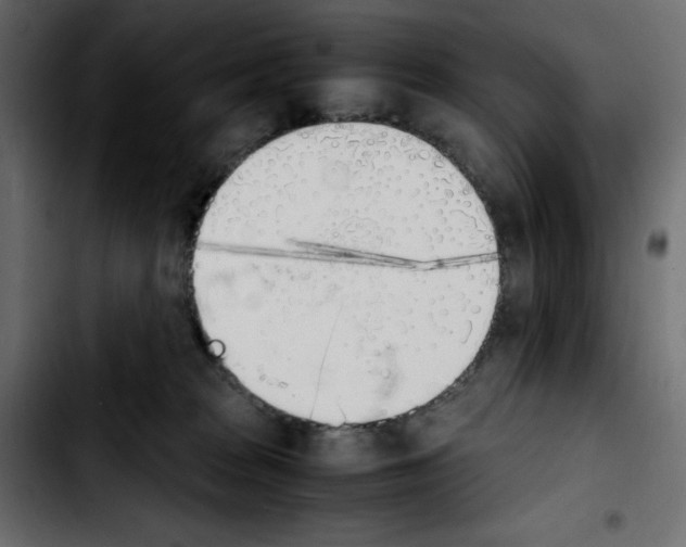 X0000103900277200810311416