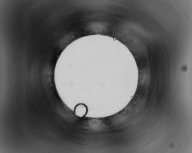 X0000103900279200810311416