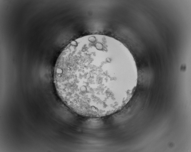 X0000103900280200810311416