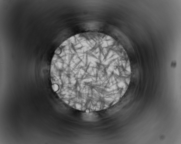 X0000103900281200810311416