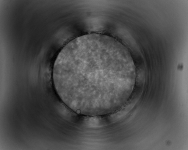 X0000103900282200810311416