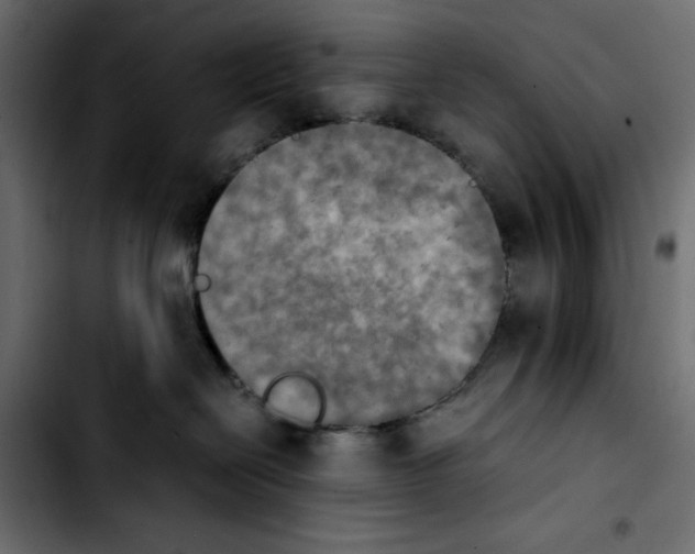 X0000103900286200810311416