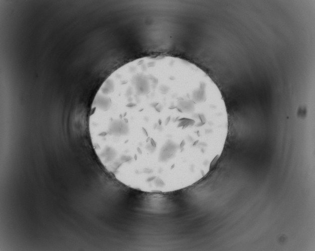 X0000103900287200810311416