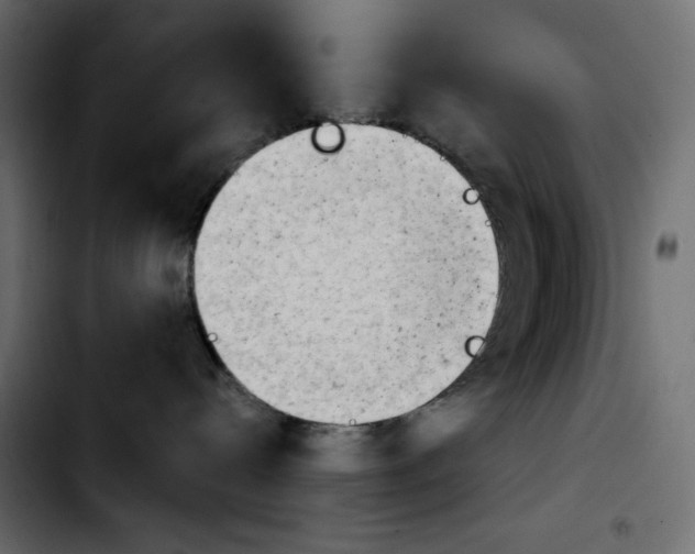 X0000103900288200810311417