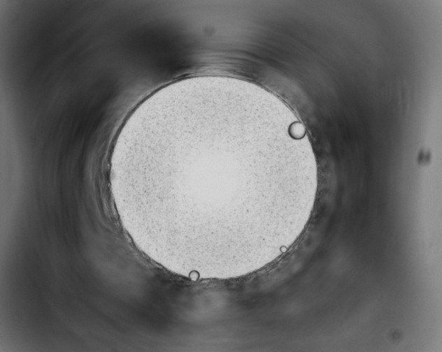 X0000103900289200810311416