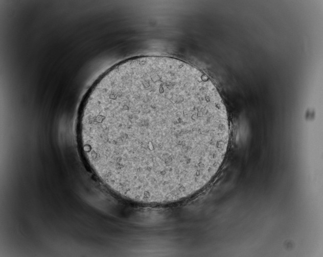 X0000103900292200810311416