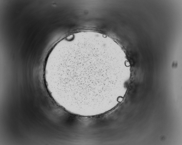 X0000103900293200810311416