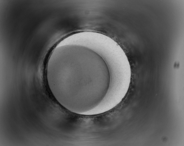 X0000103900295200810311416