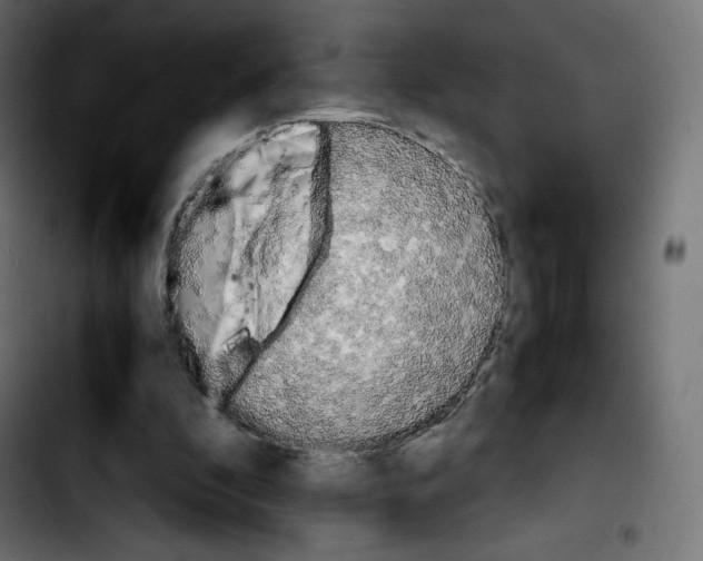 X0000103900296200810311416