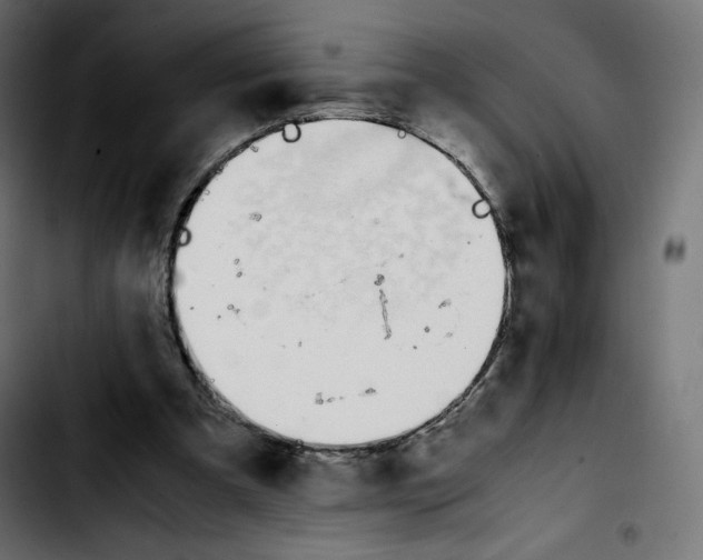 X0000103900297200810311416