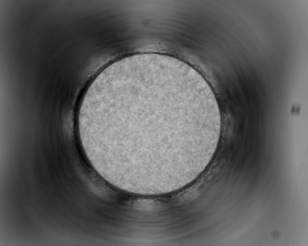 X0000103900298200810311416