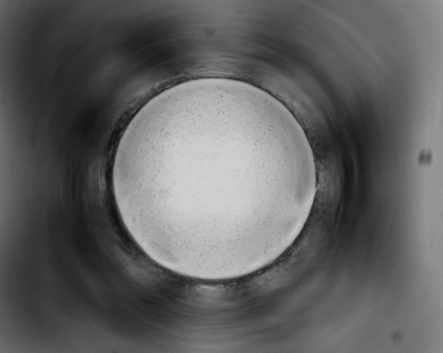 X0000103900302200810311416