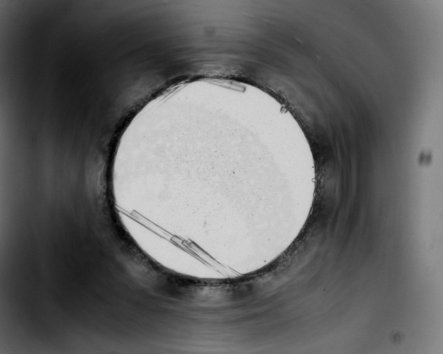 X0000103900303200810311416