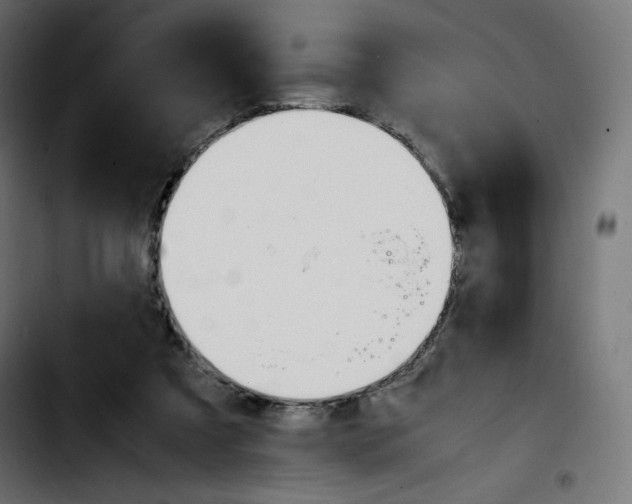 X0000103900305200810311416