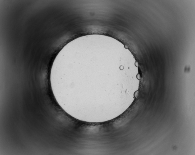 X0000103900306200810311416