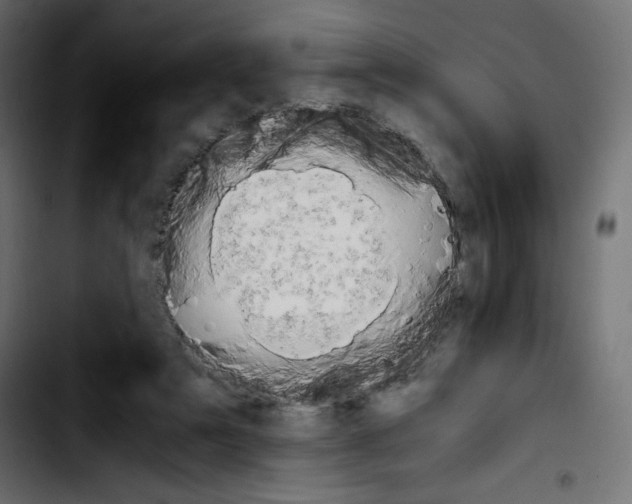 X0000103900307200810311416