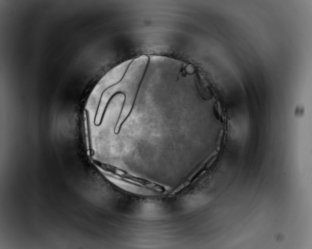 X0000103900308200810311416